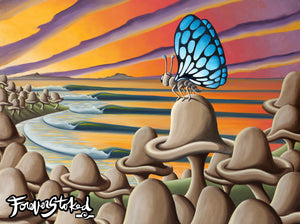 Metamorphosis