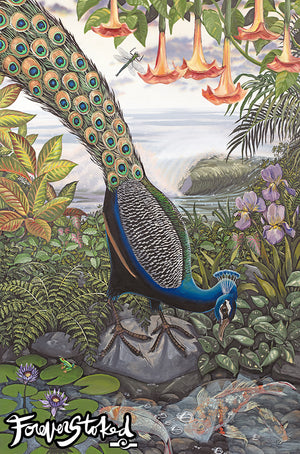Koi with Peacock - 11x14