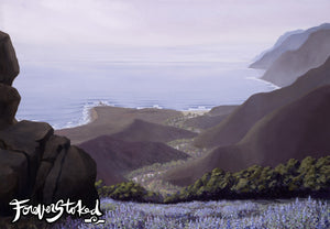 South Coast